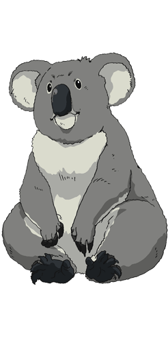 コアラ